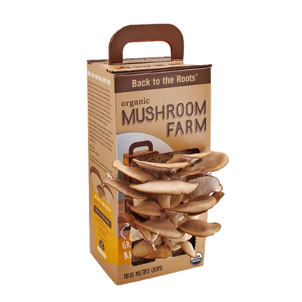 Custom Mushroom Boxes